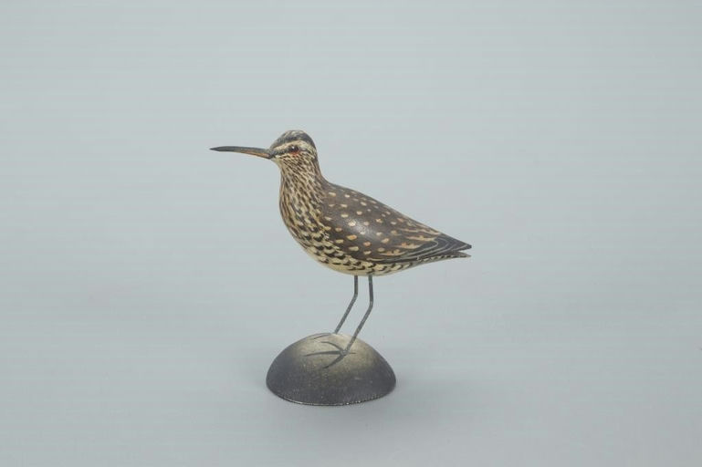 Elmer Crowell – Early and Exceptional Miniature Curlew – 2022