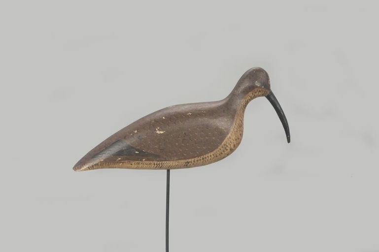 John McAnney – Curlew – 2022