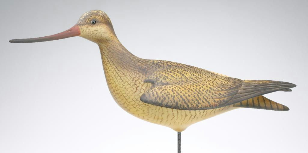 Bill Gibian – Marbled Godwit – 2023