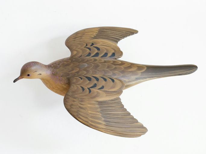 George Strunk – Dove – 2025