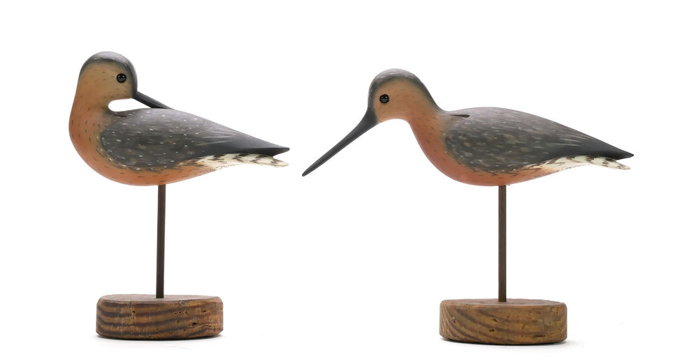 Pete Peterson – Pair of Red Knot – 2024