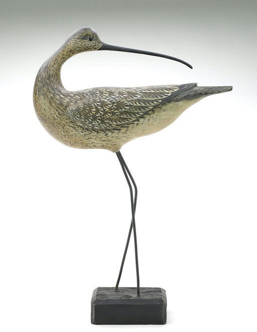 Reggie Birch – Curlew – 2025