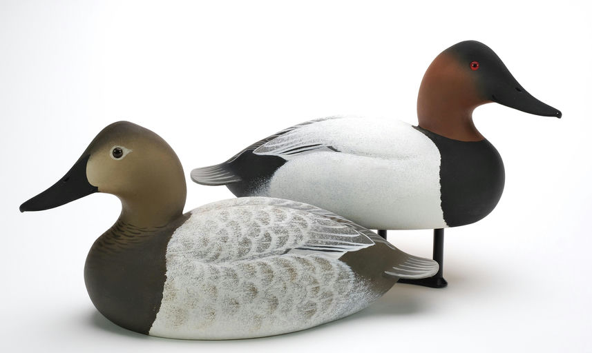 Oliver Lawson – Pair of Canvasback – 2024