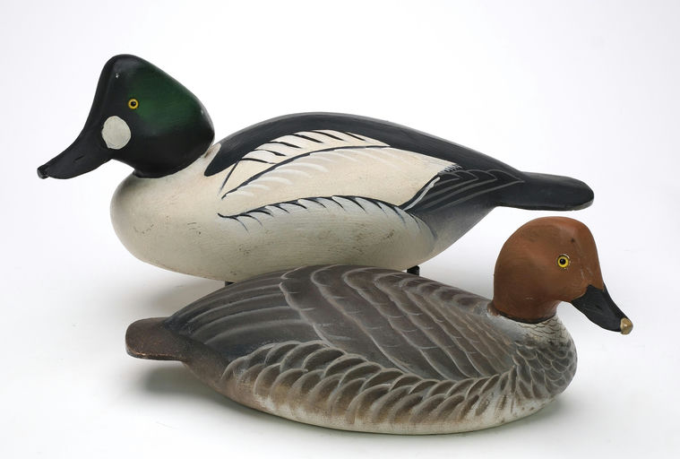Ward Brothers – Pair of goldeneyes – 2024