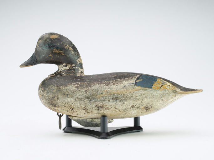 Ira Hudson – Green Wing Teal – 2024