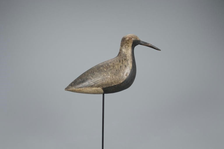 John McAnney – Black Bellied Plover – 2020