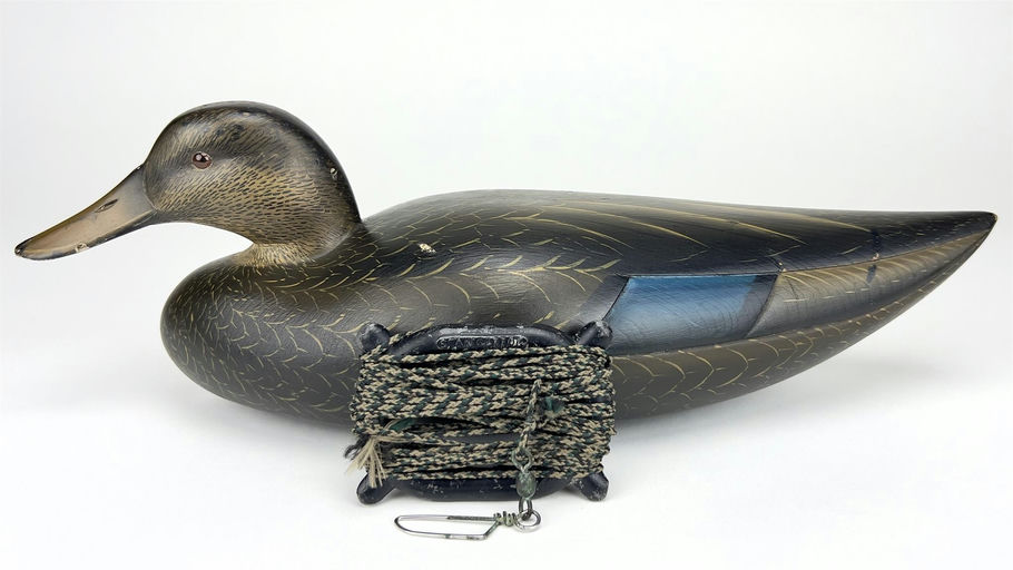 Sean Sutton – Black Duck – 2024