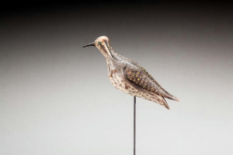 Charles Gardner – Golden Plover – 2016
