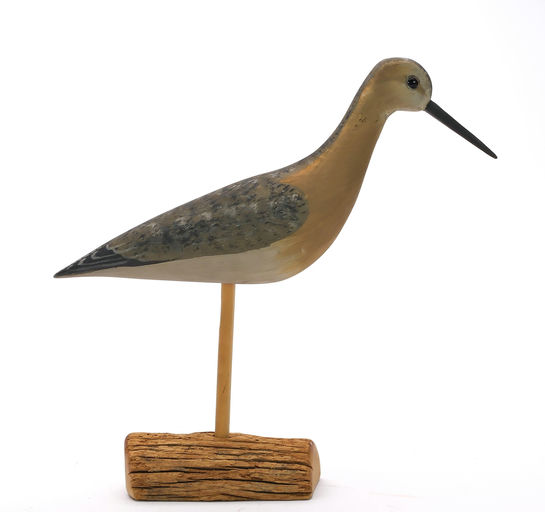 Harry V. Shourds – Yellowlegs – 2024