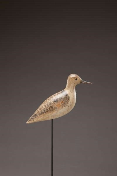 Harry V. Shourds – Sanderling – 2013