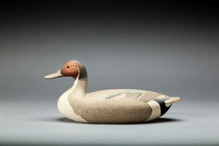 Willard C. Baldwin – Pintail Drake – 2014