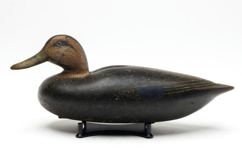Charles Wells – Black Duck – 2026