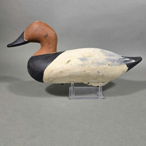R. Madison Mitchell – Canvasback – 2026