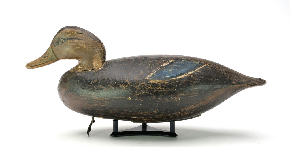 Ira Hudson – Black Duck – 2025