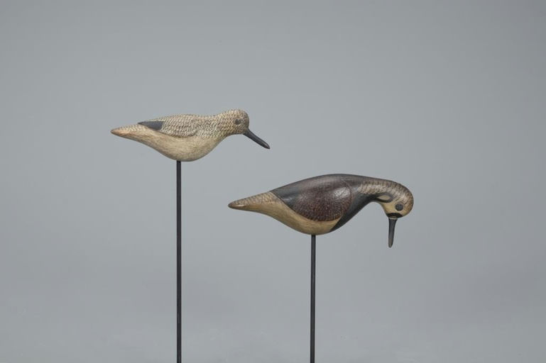 Mark McNair – Feeding Ruddy Turnstone and Peep – 2020