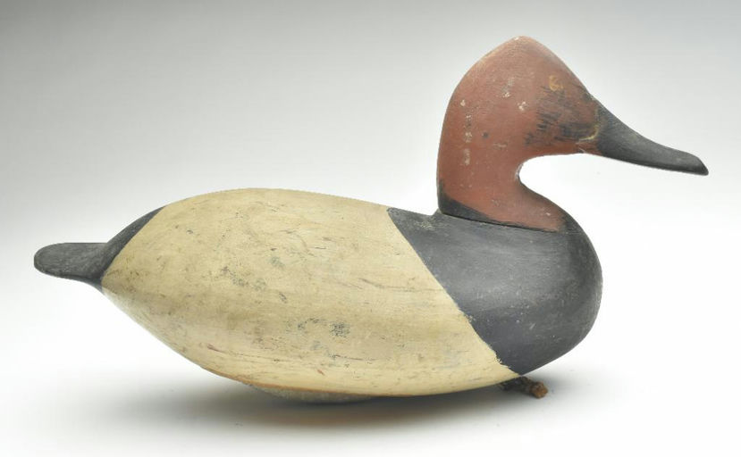 William Heverin – Canvasback – 2023