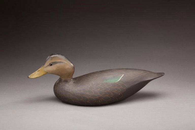 Ward Brothers – Black Duck – 2012
