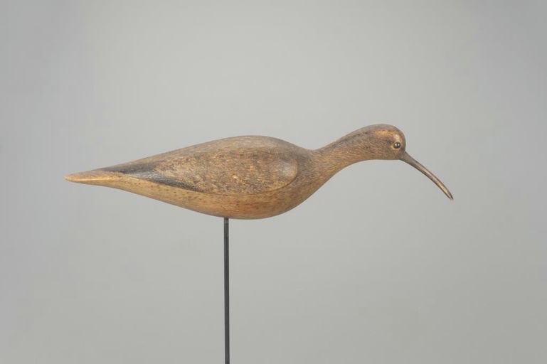Mark McNair – Reaching Eskimo Curlew – 2022