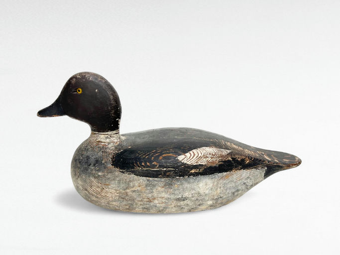 Rosh Douglas — Goldeneye Hen