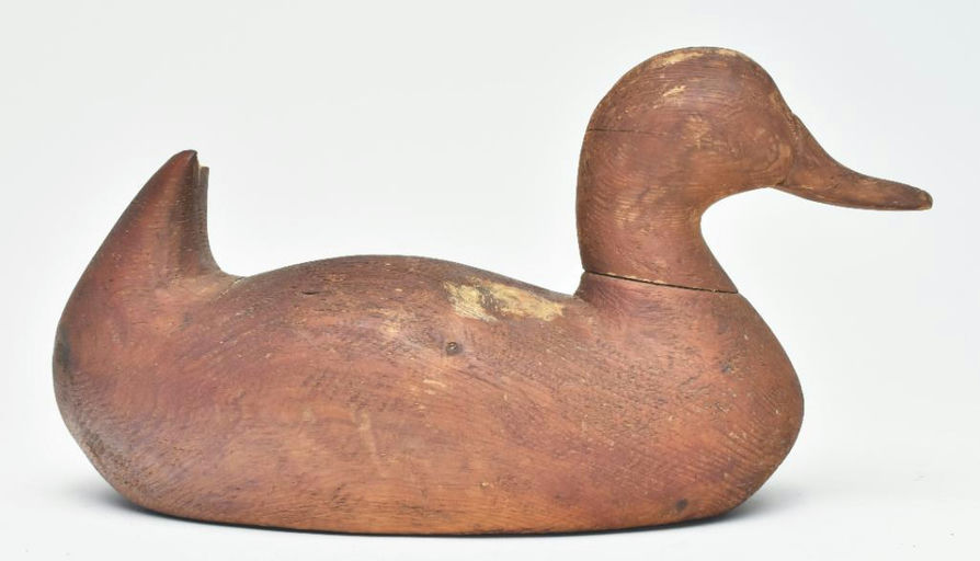Duncan Ducharme – Ruddy Duck – 2023