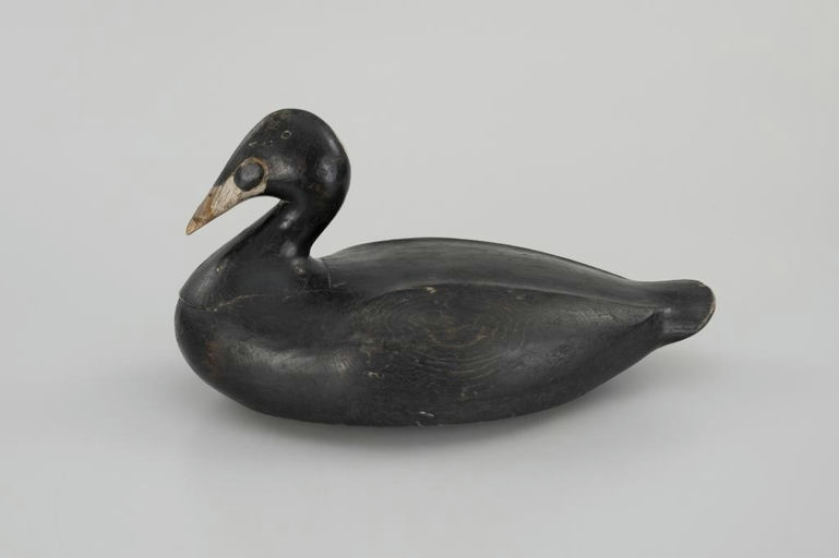 Gus Wilson – Hunter Surf Scoter – 2026