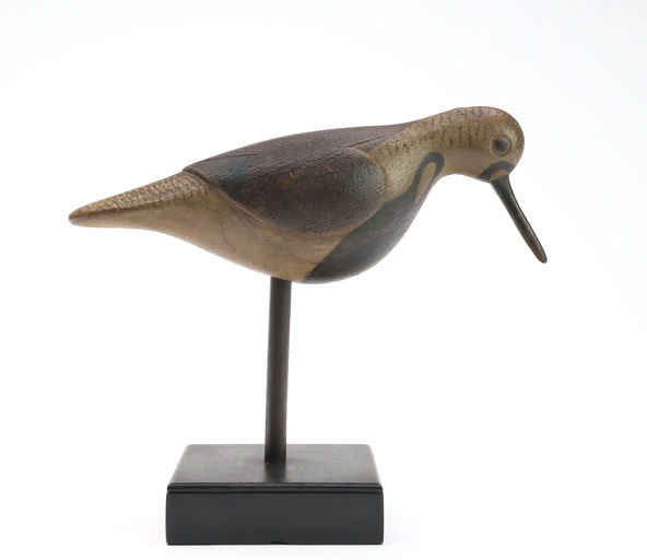 Mark McNair – Feeding Ruddy Turnstone – 2025