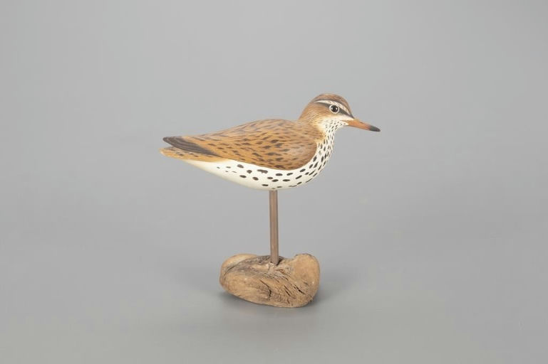 Leo McIntosh – Sandpiper – 2022