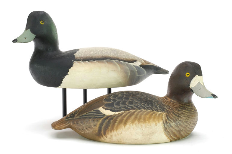 Ward Brothers – Bluebill – 2024