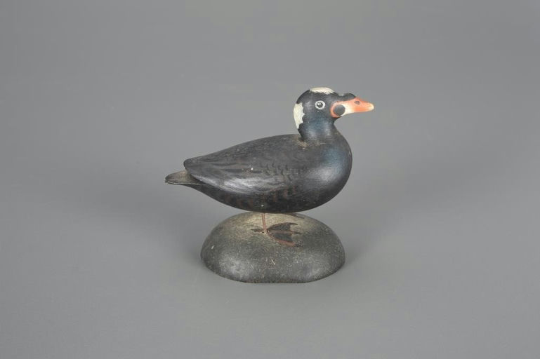 Elmer Crowell – Miniature Surf Scoter Drake – 2024