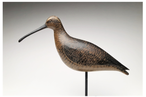 Mark McNair – Curlew – 2021
