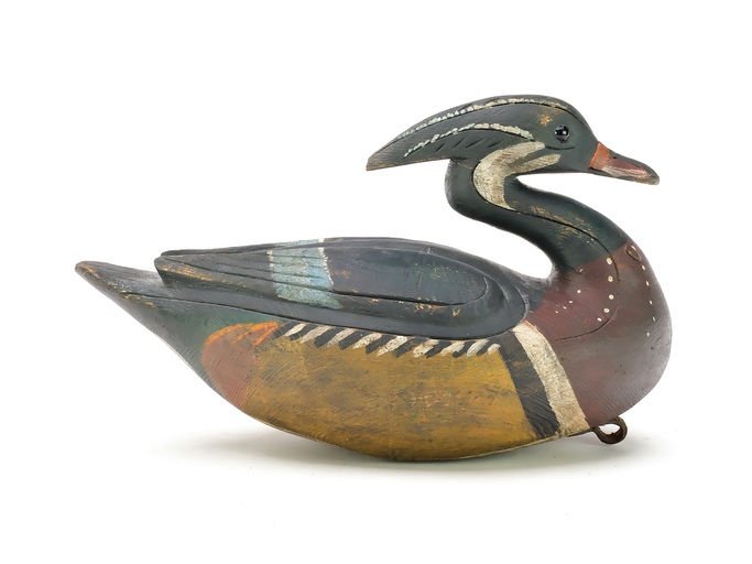 Reggie Birch – Wood Duck – 2025
