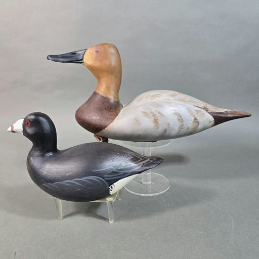 David Rhodes – Decoy – 2026