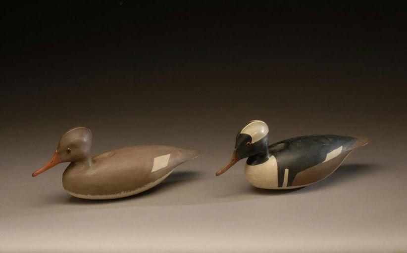 Hurley Conklin – Pair of Hooded Mergansers – 2008