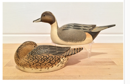Grayson Chesser – Pair of Miniature Pintail – 2016