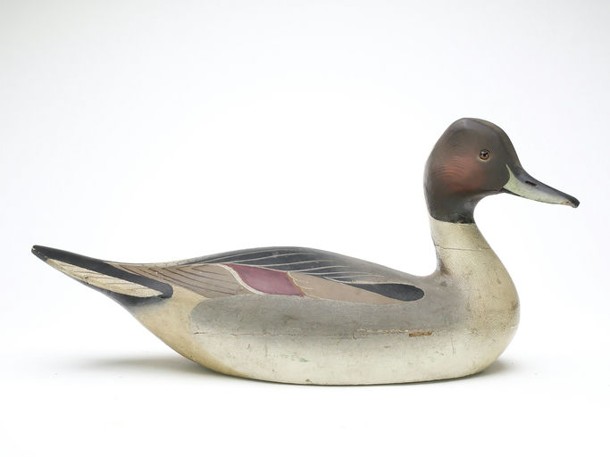 Ward Brothers – Pintail – 2025
