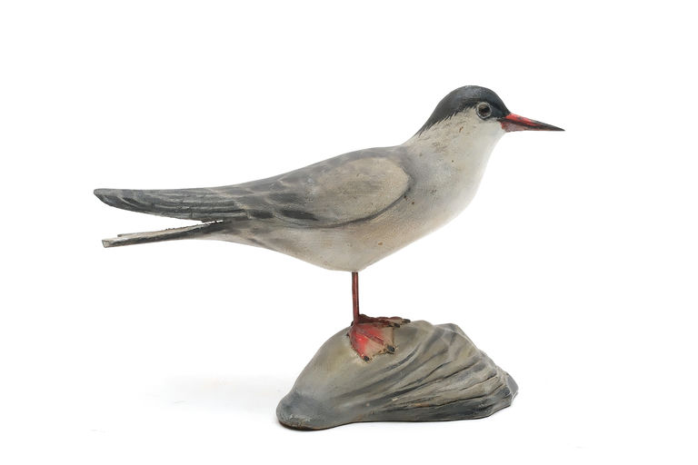 Elmer Crowell – Tern – 2026