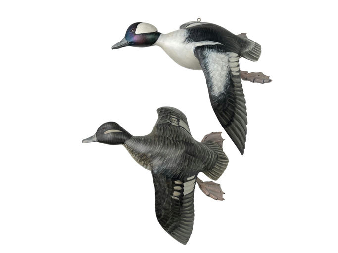 Mike Borrett – Flying Bufflehead Pair – 2024