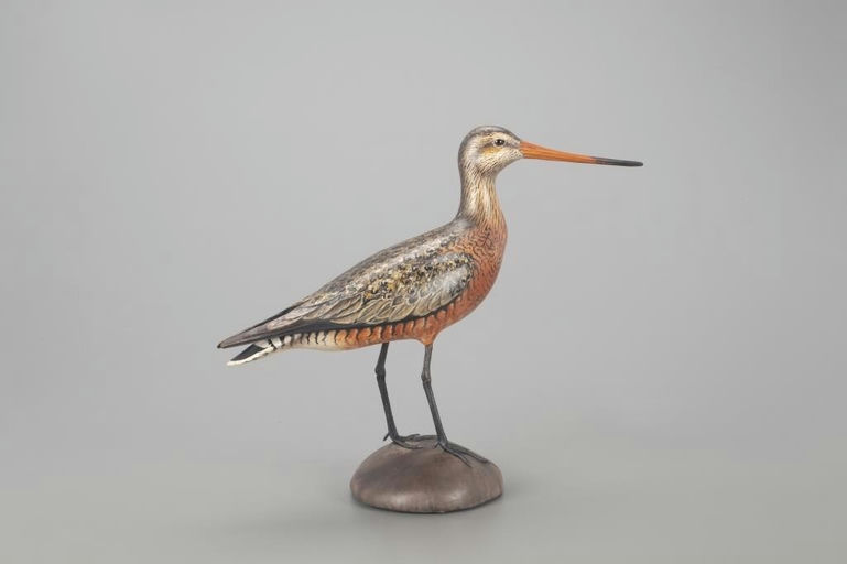 Bill Gibian – Hudsonian Godwit – 2022