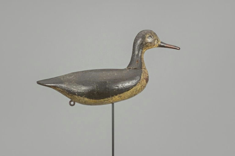 Thorn Rig – Early Root-head Yellowlegs – 2018