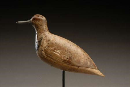 Joe King – Ruddy Turnstone – 2007