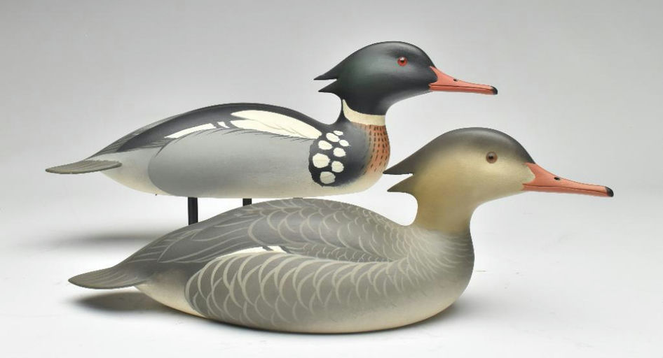 Oliver Lawson – Pair of Merganser – 2023