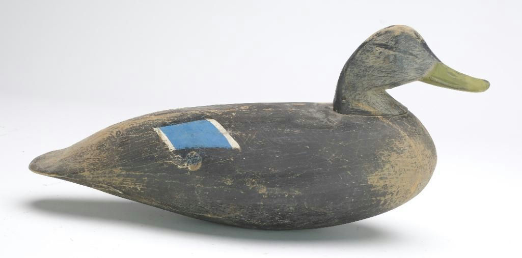 Doug Jester – Black Duck – 2024