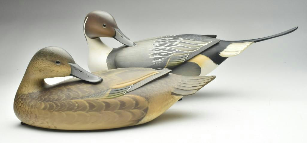 George Strunk – Pair of Pintail – 2023