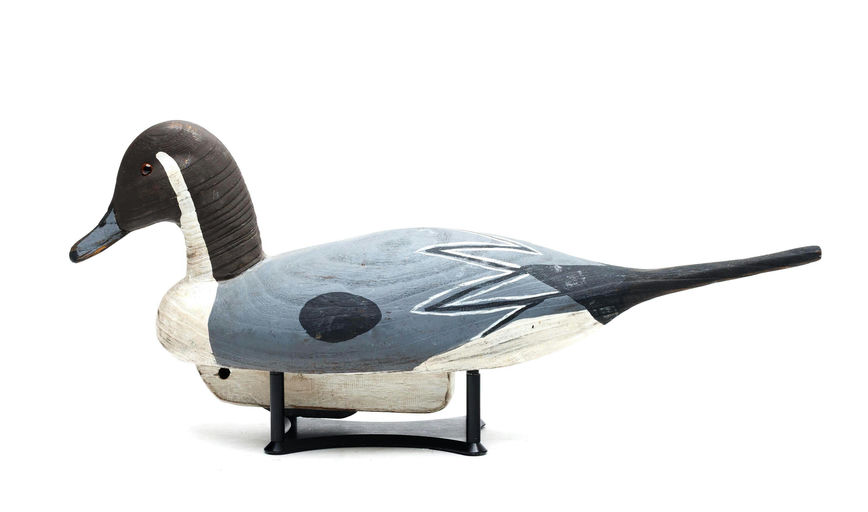 Charles Fish – Pintail – 2026