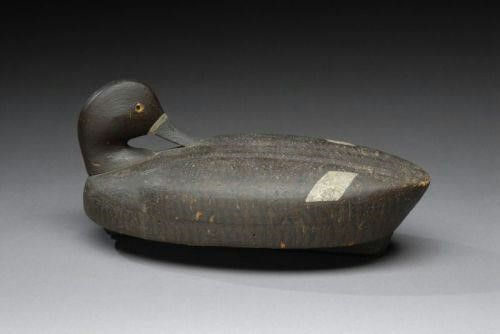 George Roberts – Preening Bluebill Hen – 2007
