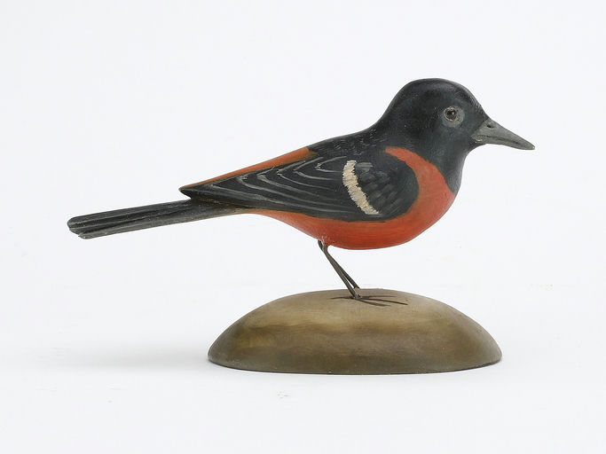 Frank Finney – Orchard oriole – 2024