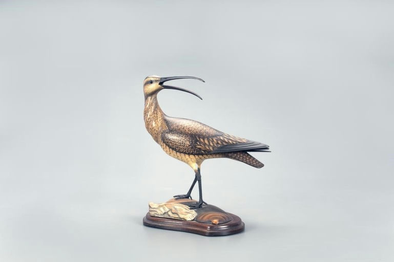 Bill Gibian – Calling Curlew – 2022