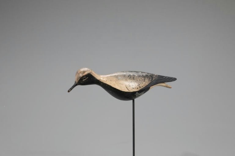 Elisha Burr – The Mackey Burr Running Black-Bellied Plover – 2021