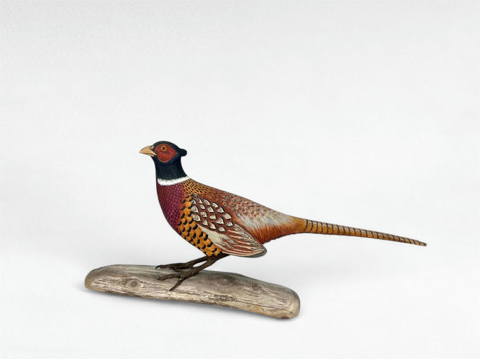 Tom Ahern — 1/4 Pheasant
