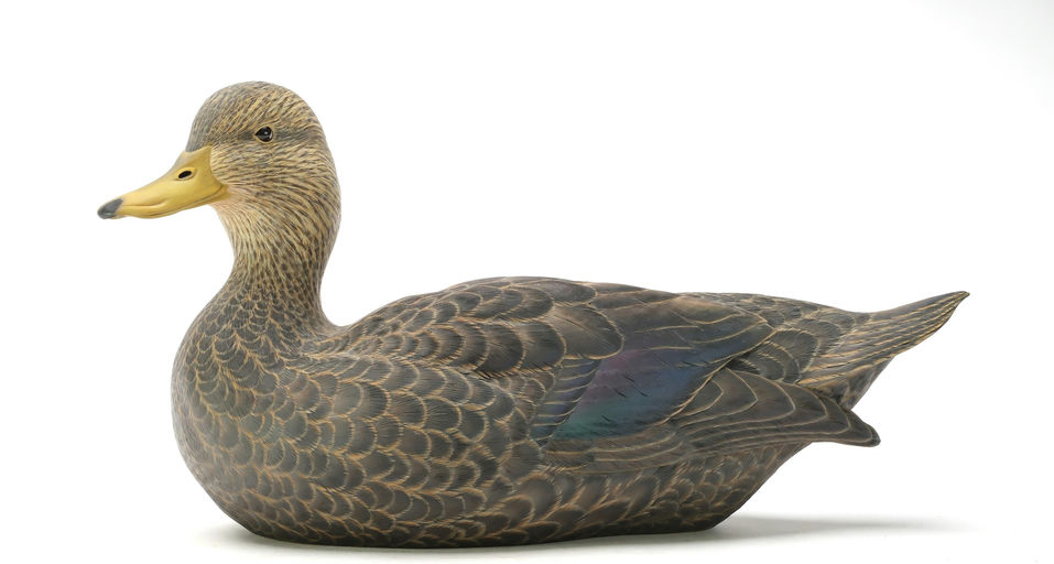 Ben A. Heinemann – Black Duck – 2025